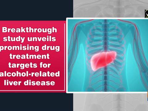 Breakthrough study unveils promising drug treatment targets for alcohol-related liver disease