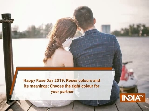 Happy Rose Day 2019: Roses colours and its meanings; Choose the right colour for your partner