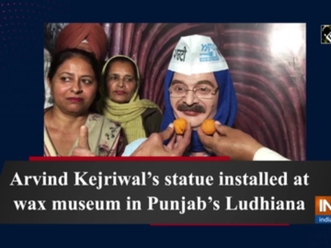 Arvind Kejriwal's statue installed at wax museum in Punjab's Ludhiana