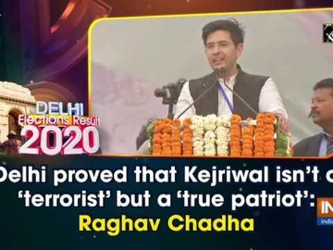 Delhi proved that Kejriwal isn't a 'terrorist' but a 'true patriot': Raghav Chadha