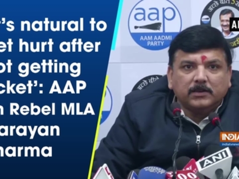 'It's natural to get hurt after not getting ticket': AAP on Rebel MLA Narayan Sharma