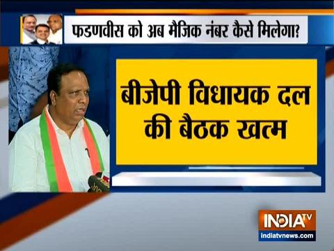 Shiv Sena has insulted the mandate of people, says BJP leader Ashish Shelar