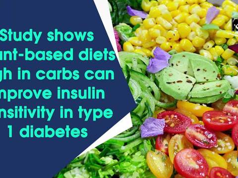 Study shows plant-based diets high in carbs can improve insulin sensitivity in type 1 diabetes