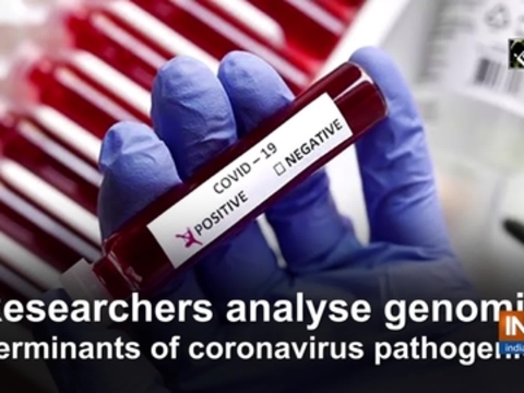 Researchers analyse genomic determinants of coronavirus pathogenicity