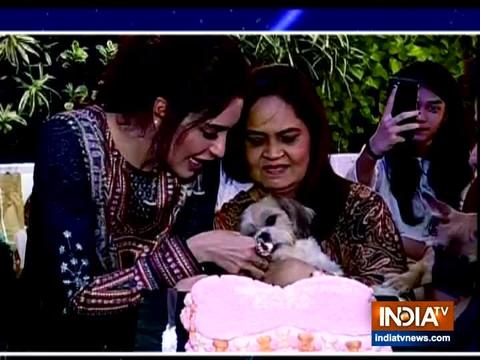 Karishma Tanna celebrates Koko's birthday