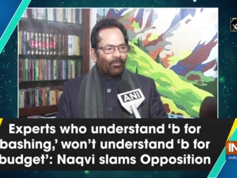 Experts who understand 'b for bashing,' won't understand 'b for budget': Naqvi slams Opposition