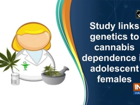 Study links genetics to cannabis dependence in adolescent females