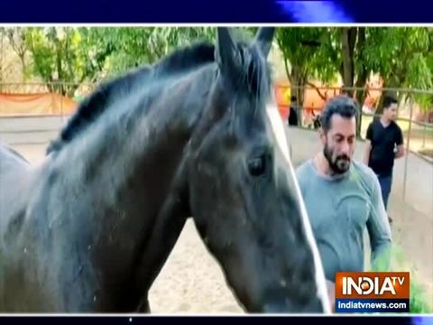 Salman Khan enjoys fodder for breakfast along with his horse, says it's 'damn good'