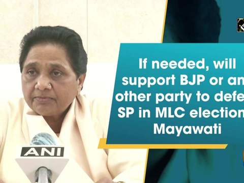 If needed, will support BJP or any other party to defeat SP in MLC elections: Mayawati