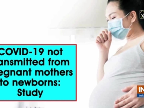 COVID-19 not transmitted from pregnant mothers to newborns: Study