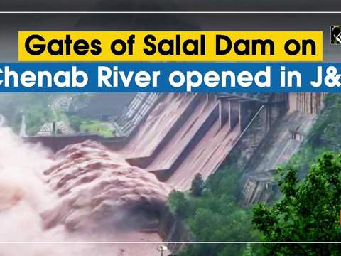 Watch: Gates of Salal Dam on Chenab River opened in J-K