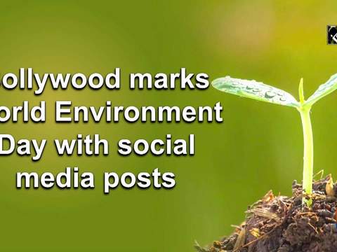 Bollywood marks World Environment Day with social media posts