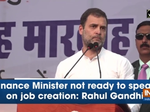 Finance Minister not ready to speak on job creation: Rahul Gandhi