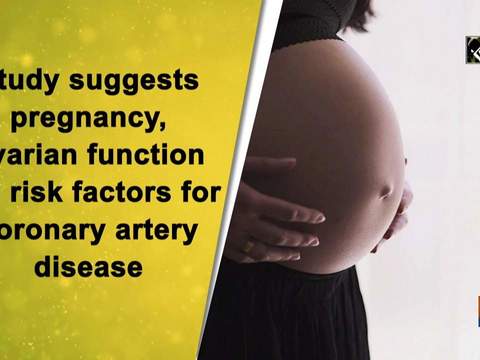 Study suggests pregnancy, ovarian function are risk factors for coronary artery disease