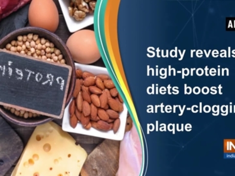 Study reveals high-protein diets boost artery-clogging plaque