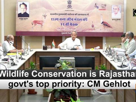 Wildlife Conservation is Rajasthan govt's top priority: CM Gehlot