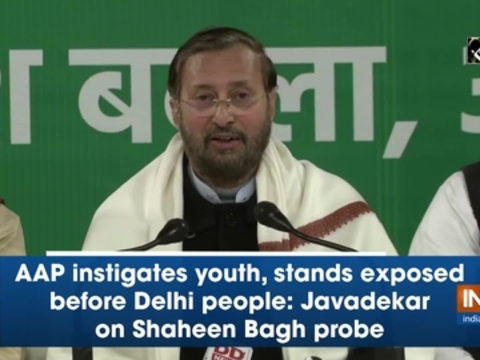 AAP instigates youth, stands exposed before Delhi people: Javadekar on Shaheen Bagh probe