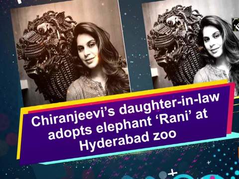 Chiranjeevi's daughter-in-law adopts elephant 'Rani' at Hyderabad zoo