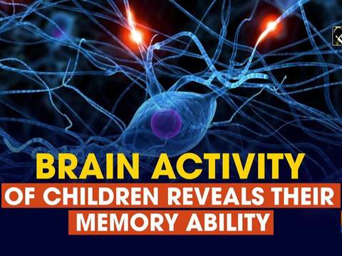 Brain activity of children reveals their memory ability