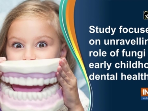 Study focuses on unravelling role of fungi in early childhood dental health