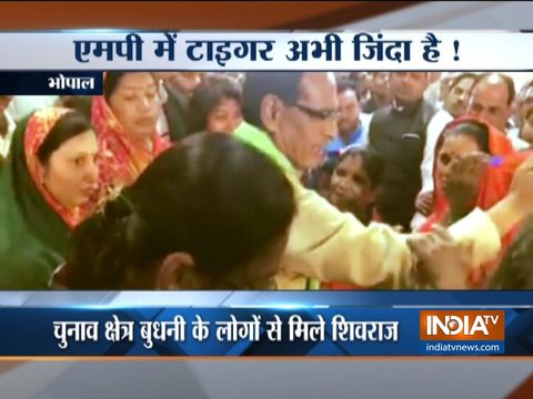 'Tiger abhi zindi hai', Shivraj Singh Chouhan tells people of his constituency