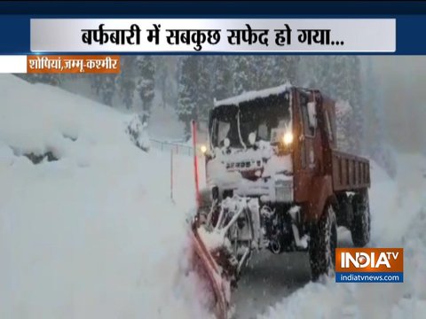 Special Report | January 21, 2019 | 11 AM