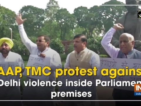 AAP, TMC protest against Delhi violence inside Parliament premises