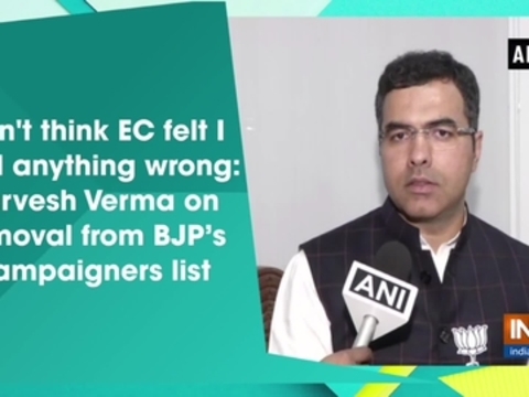 Don't think EC felt I said anything wrong: Parvesh Verma on removal from BJP's campaigners list