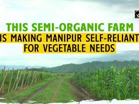 This semi-organic farm is making Manipur self-reliant for vegetable needs