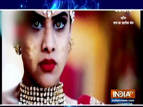 Brinda begins to take revenge from Parekh family in Naagin 4