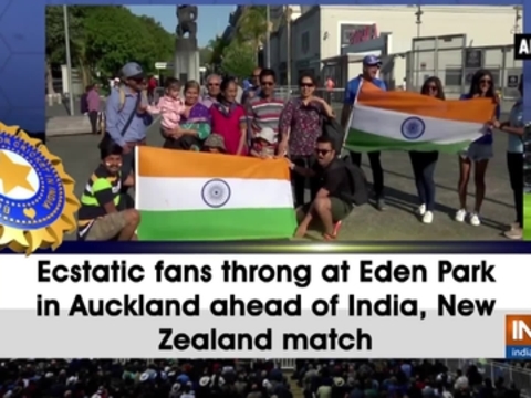 Ecstatic fans throng at Eden Park in Auckland ahead of India, New Zealand match