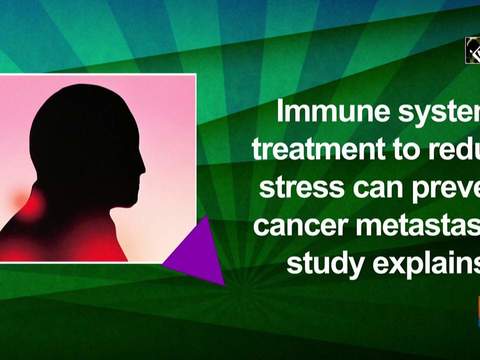 Immune system treatment to reduce stress can prevent cancer metastases, study explains