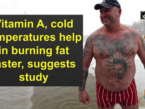 Vitamin A, cold temperatures help in burning fat faster, suggests study