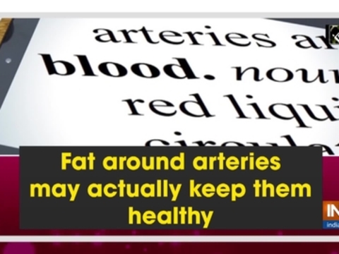 Fat around arteries may actually keep them healthy