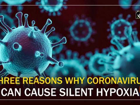 Three reasons why coronavirus can cause silent hypoxia