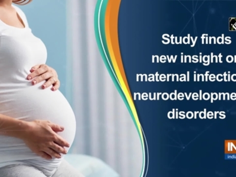 Study finds new insight on maternal infections, neurodevelopmental disorders